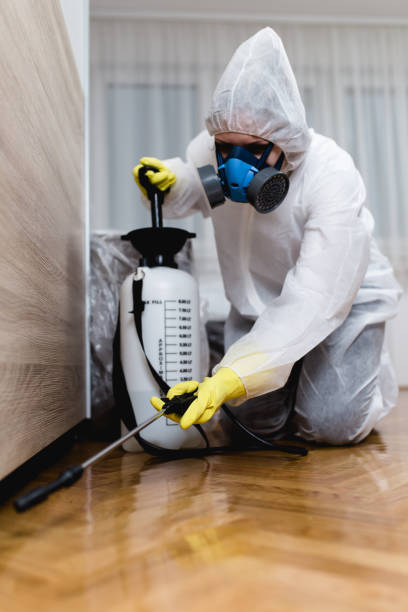 Best Bed Bug Extermination  in Providence, UT